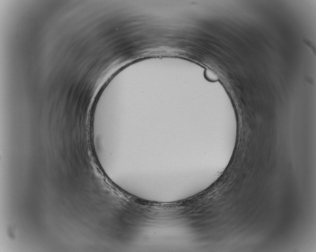 X0000103961008200809191330