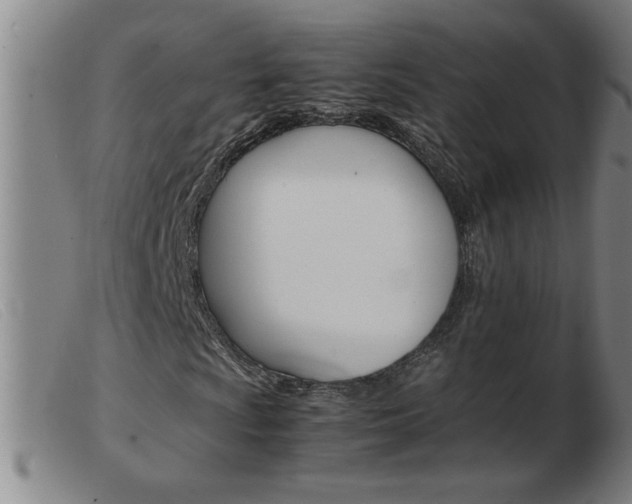 X0000103961009200809191329
