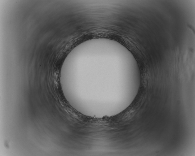X0000103961010200809191329