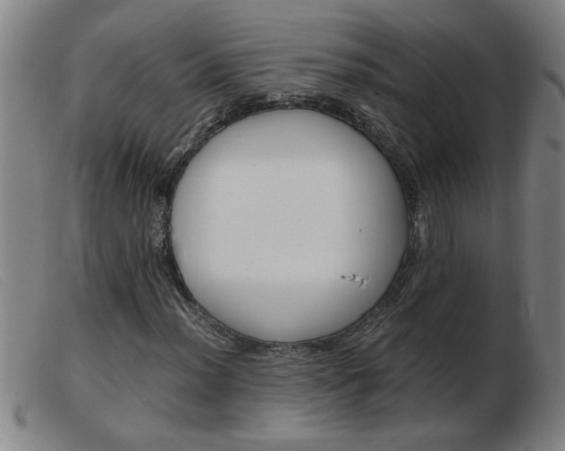 X0000103961012200809191329