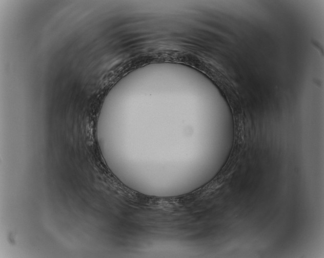X0000103961013200809191329
