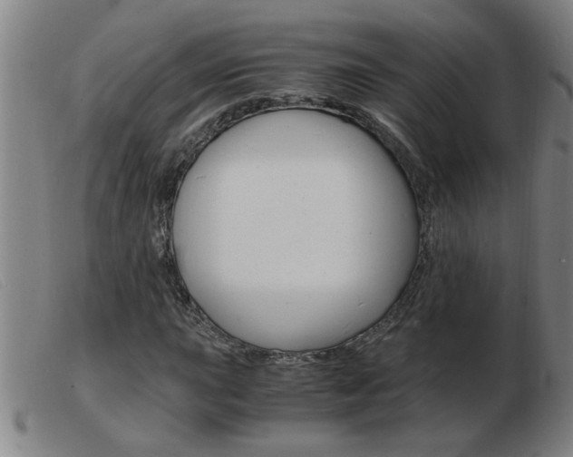 X0000103961015200809191329