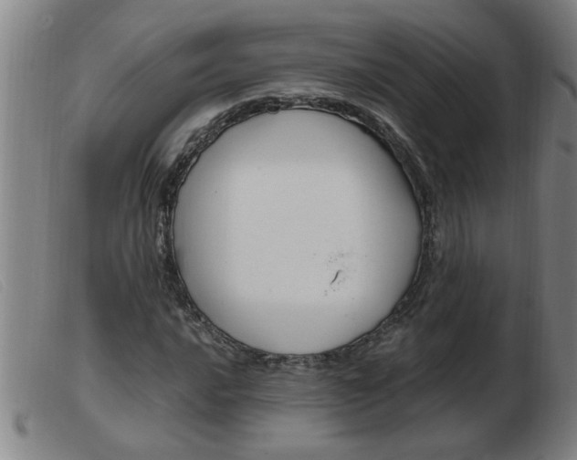 X0000103961016200809191329