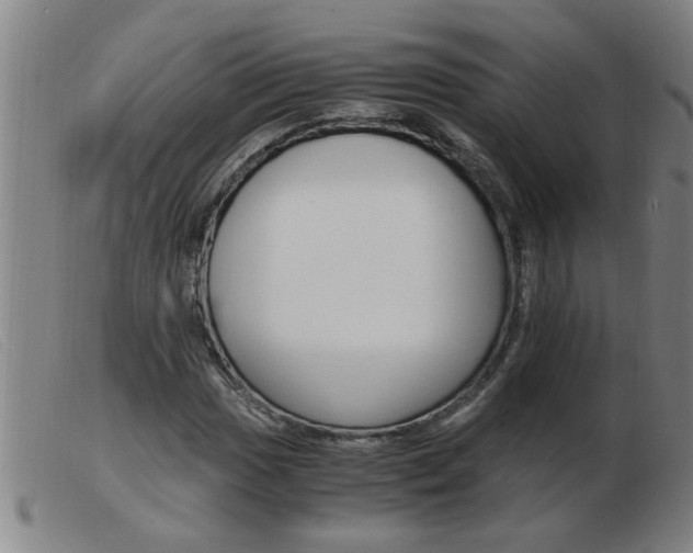 X0000103961017200809191329