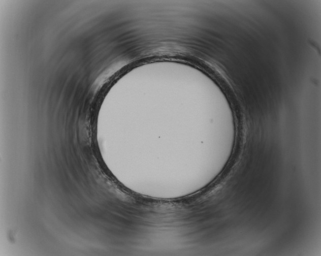 X0000103961018200809191329