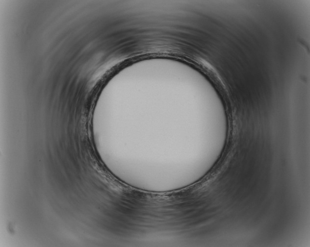 X0000103961019200809191329