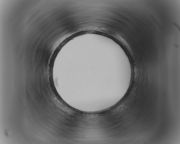 X0000103961020200809191329
