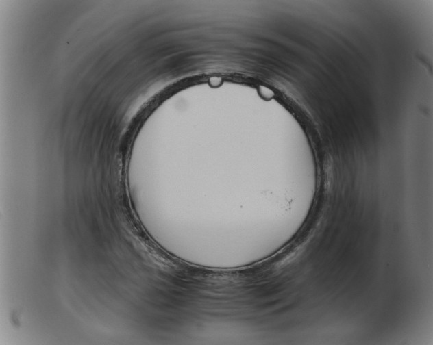 X0000103961021200809191329
