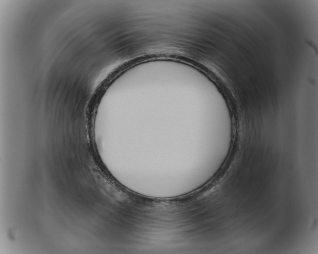 X0000103961022200809191329