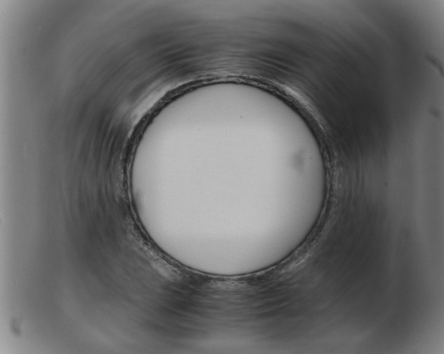 X0000103961023200809191329