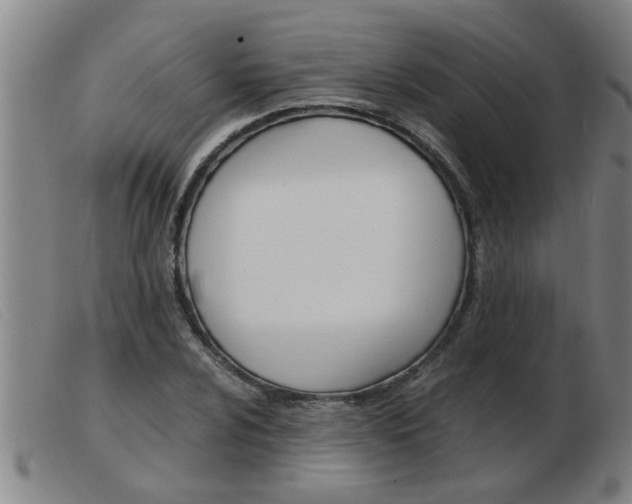 X0000103961024200809191329
