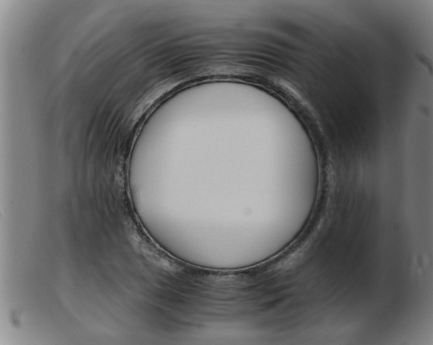 X0000103961025200809191329
