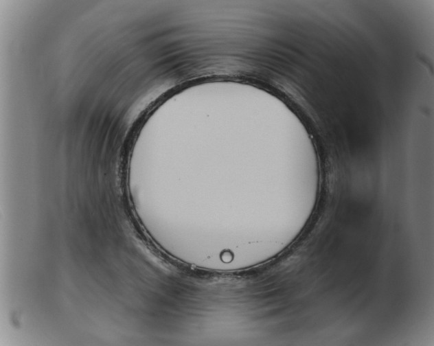 X0000103961026200809191329