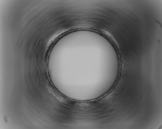 X0000103961027200809191329