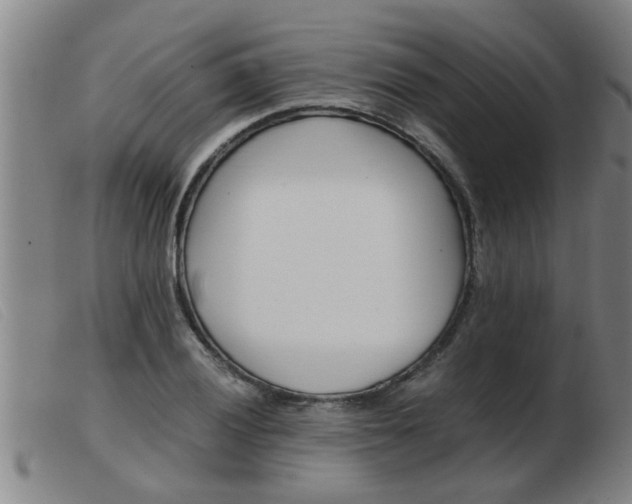 X0000103961028200809191329