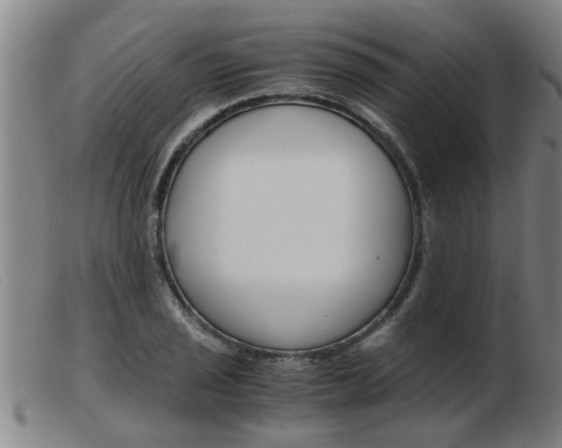 X0000103961029200809191329