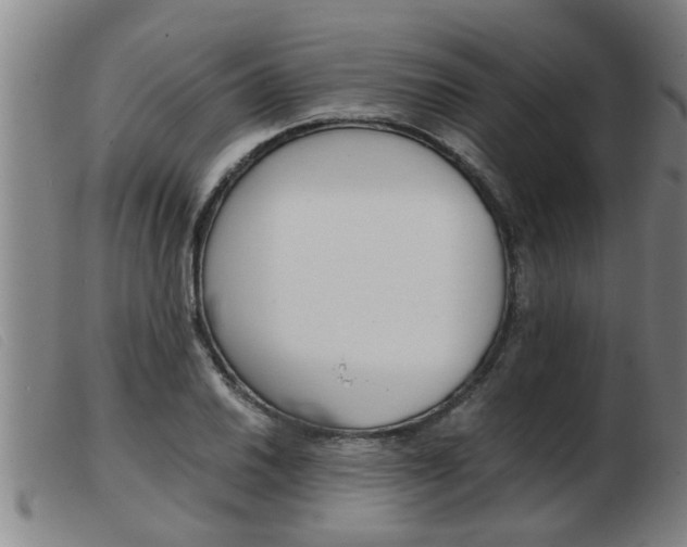 X0000103961030200809191329