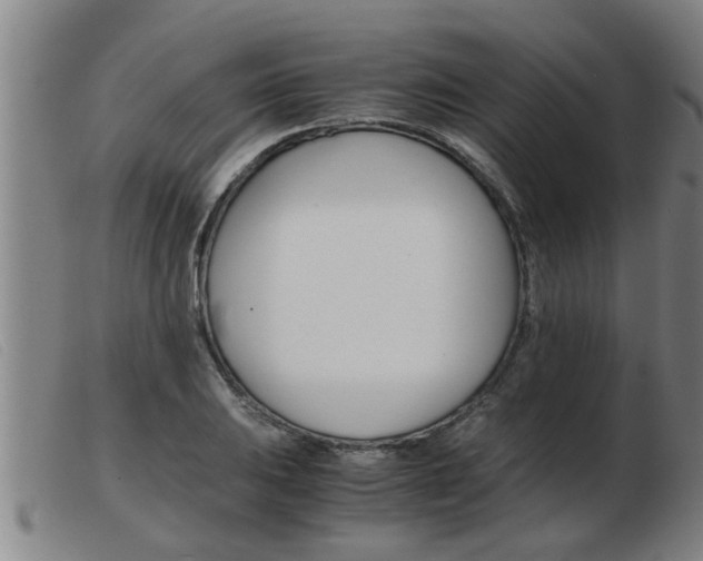 X0000103961031200809191329