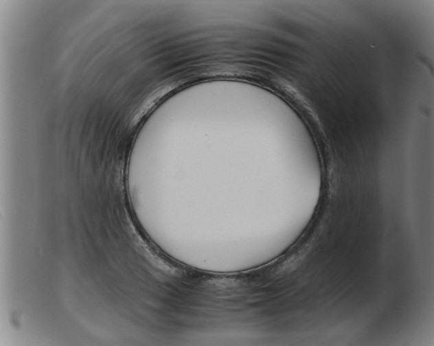 X0000103961033200809191329