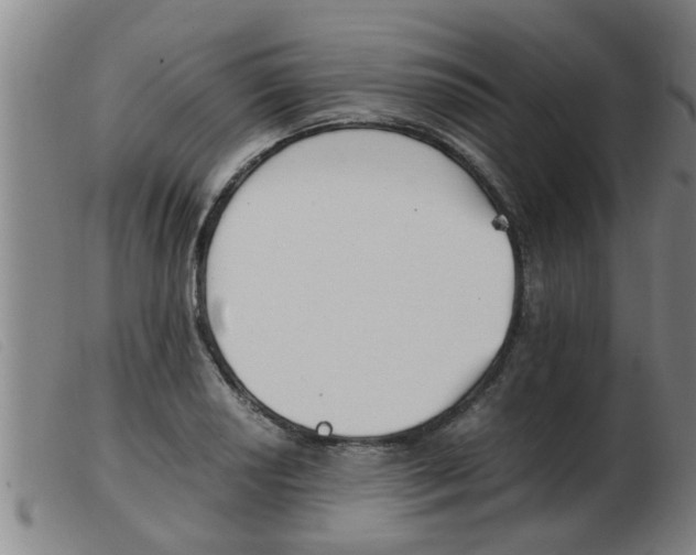 X0000103961034200809191329