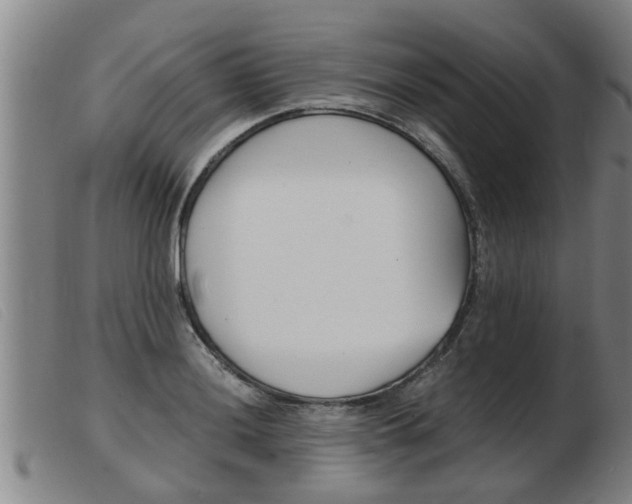 X0000103961036200809191329
