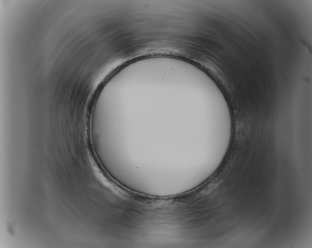 X0000103961038200809191329