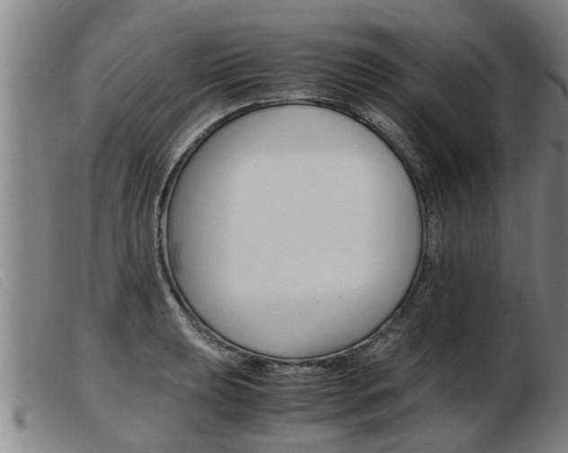 X0000103961039200809191329