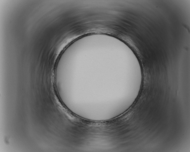 X0000103961040200809191329