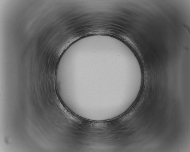 X0000103961041200809191329