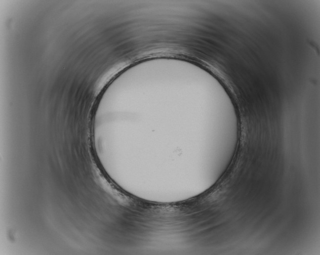 X0000103961042200809191329