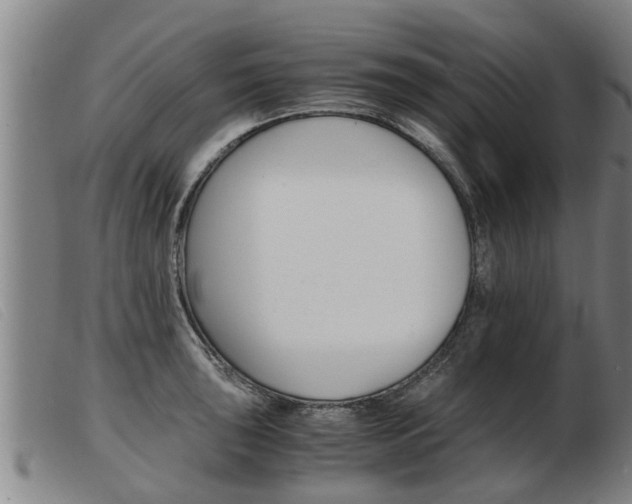 X0000103961043200809191329