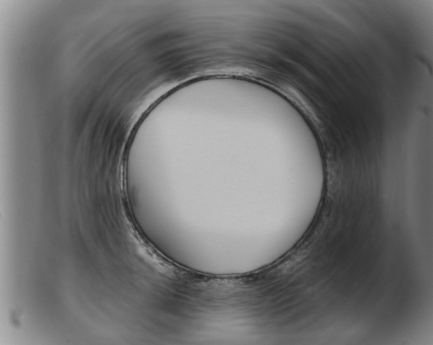 X0000103961044200809191329
