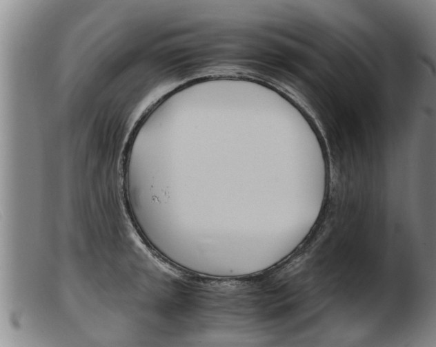 X0000103961045200809191329