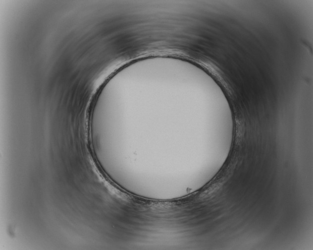 X0000103961046200809191330