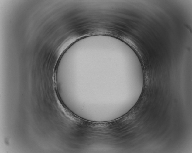 X0000103961047200809191330
