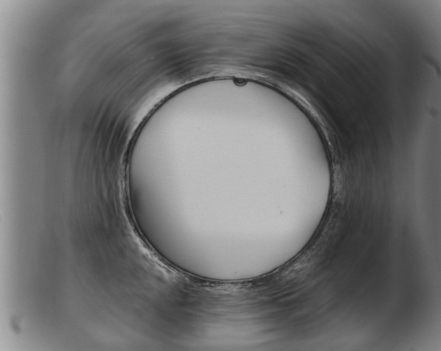 X0000103961048200809191330