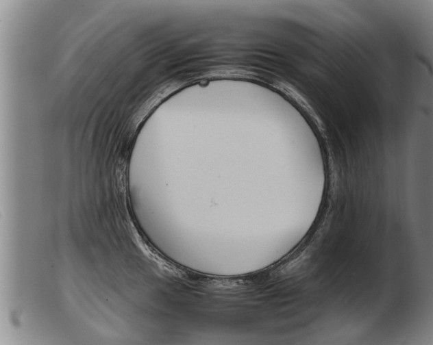 X0000103961049200809191330
