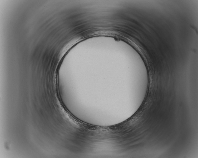 X0000103961050200809191330