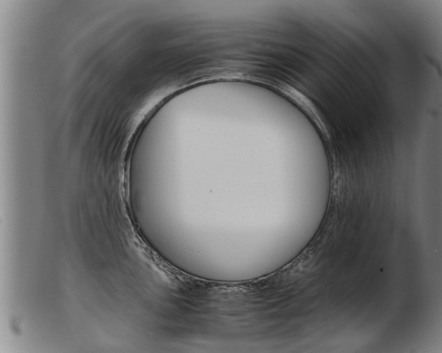 X0000103961051200809191330