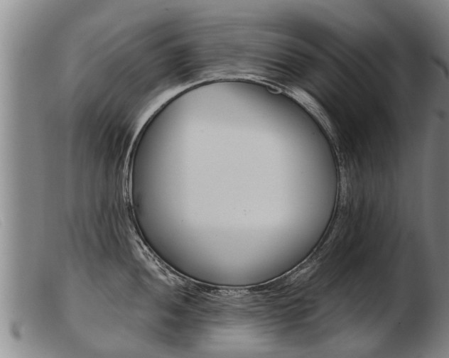 X0000103961052200809191330