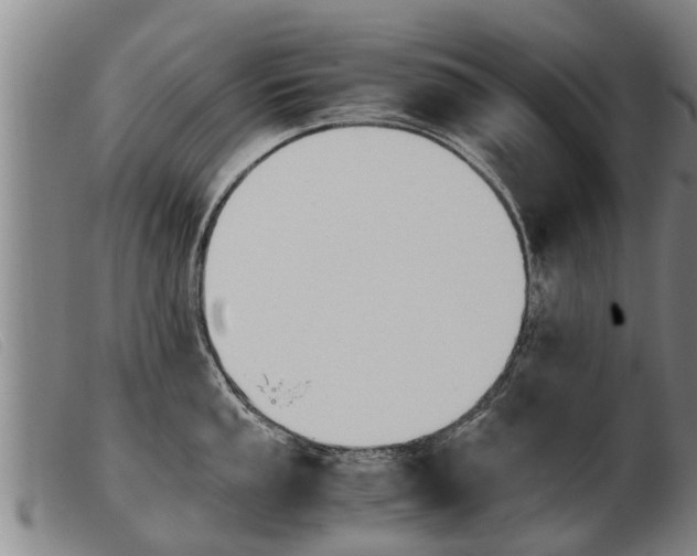 X0000103961053200809191330