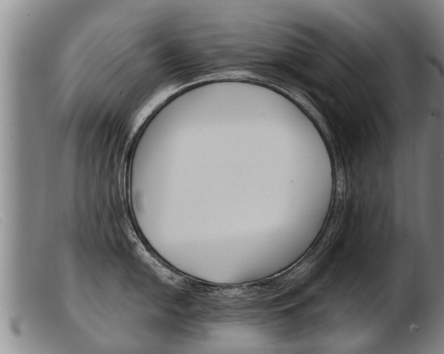 X0000103961054200809191330