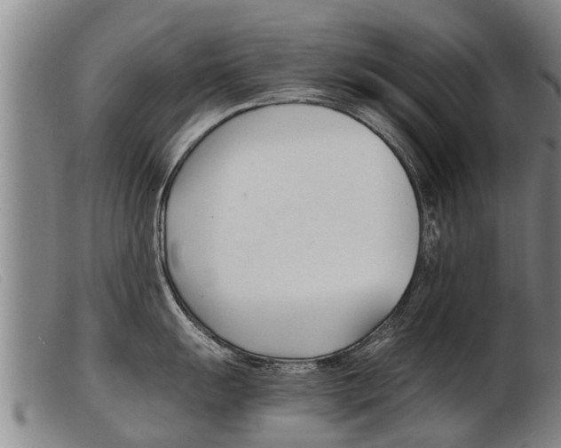 X0000103961055200809191330