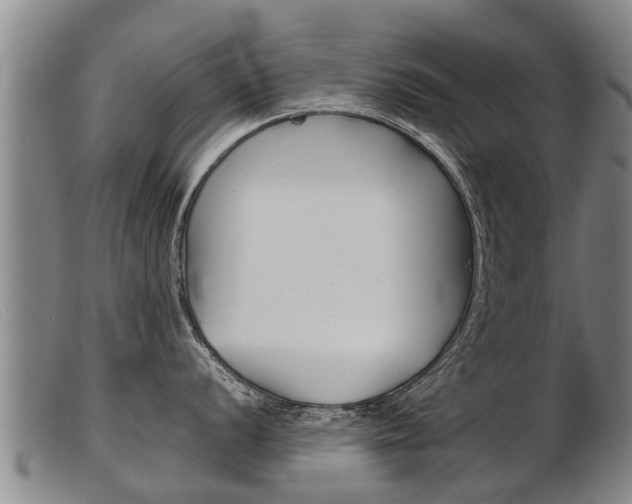 X0000103961056200809191330