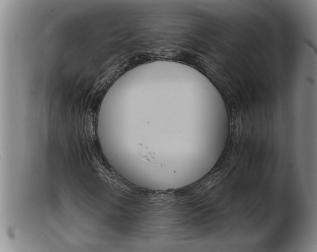 X0000103961058200809191329