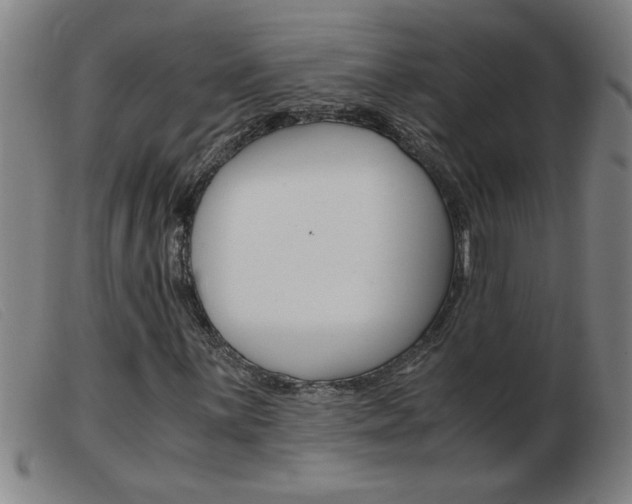 X0000103961059200809191329