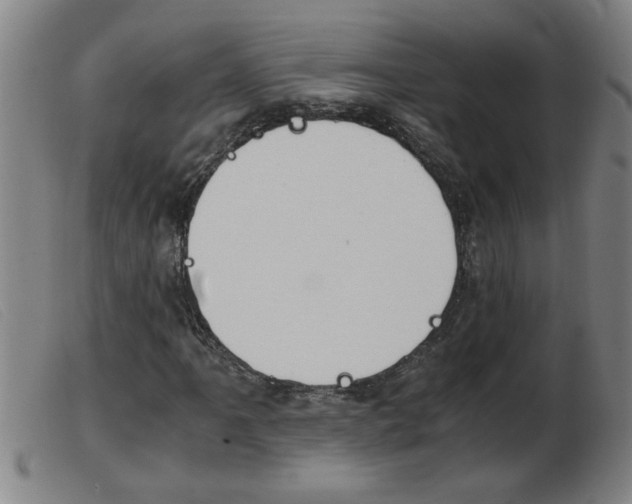 X0000103961061200809191329