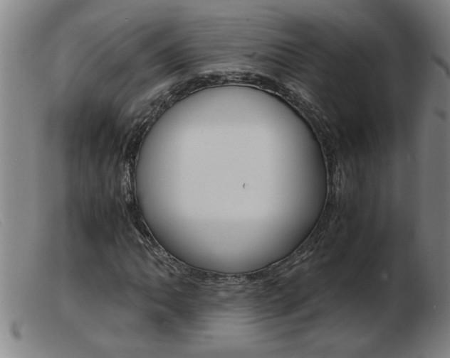 X0000103961062200809191329