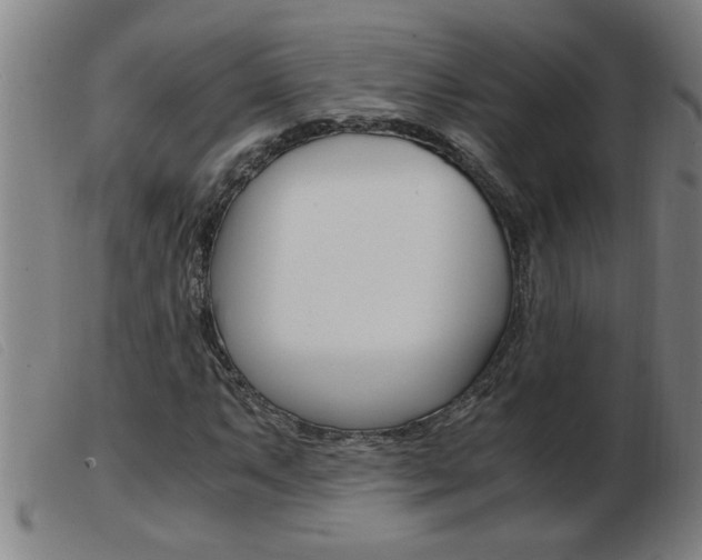 X0000103961063200809191329