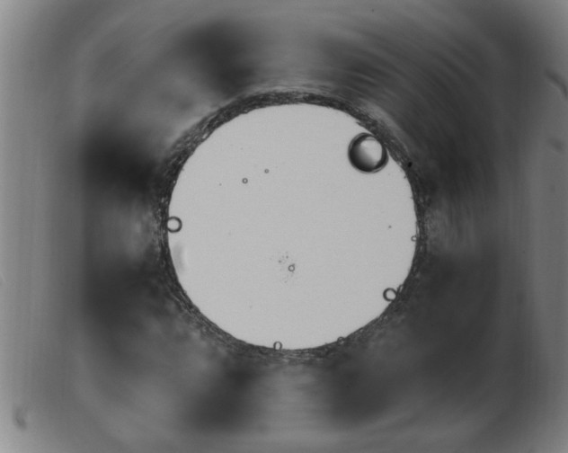 X0000103961064200809191329
